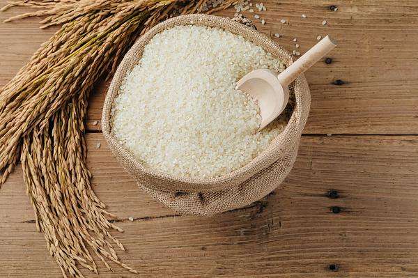 10月13日国内粮食主产区稻米市场动态
