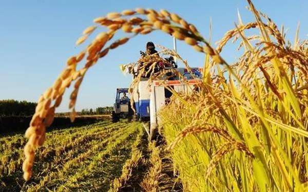 安徽农机购置补贴工作向纵深发展